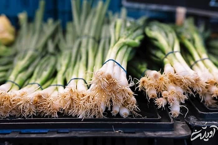 پیازچه از سبزی های مورد استفاده در کوفته ترکیبات سبزی کوفته